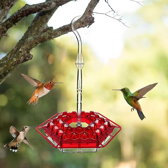 Nectara™ - Elegant Hanging Feeder for Ant-Free Viewing