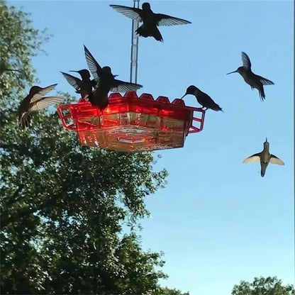 Nectara™ - Elegant Hanging Feeder for Ant-Free Viewing