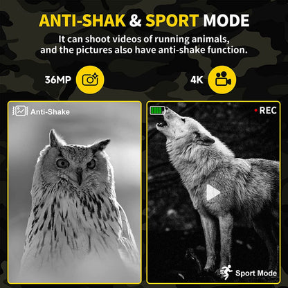 Noctry™ - See Wildlife Clearly After Dark