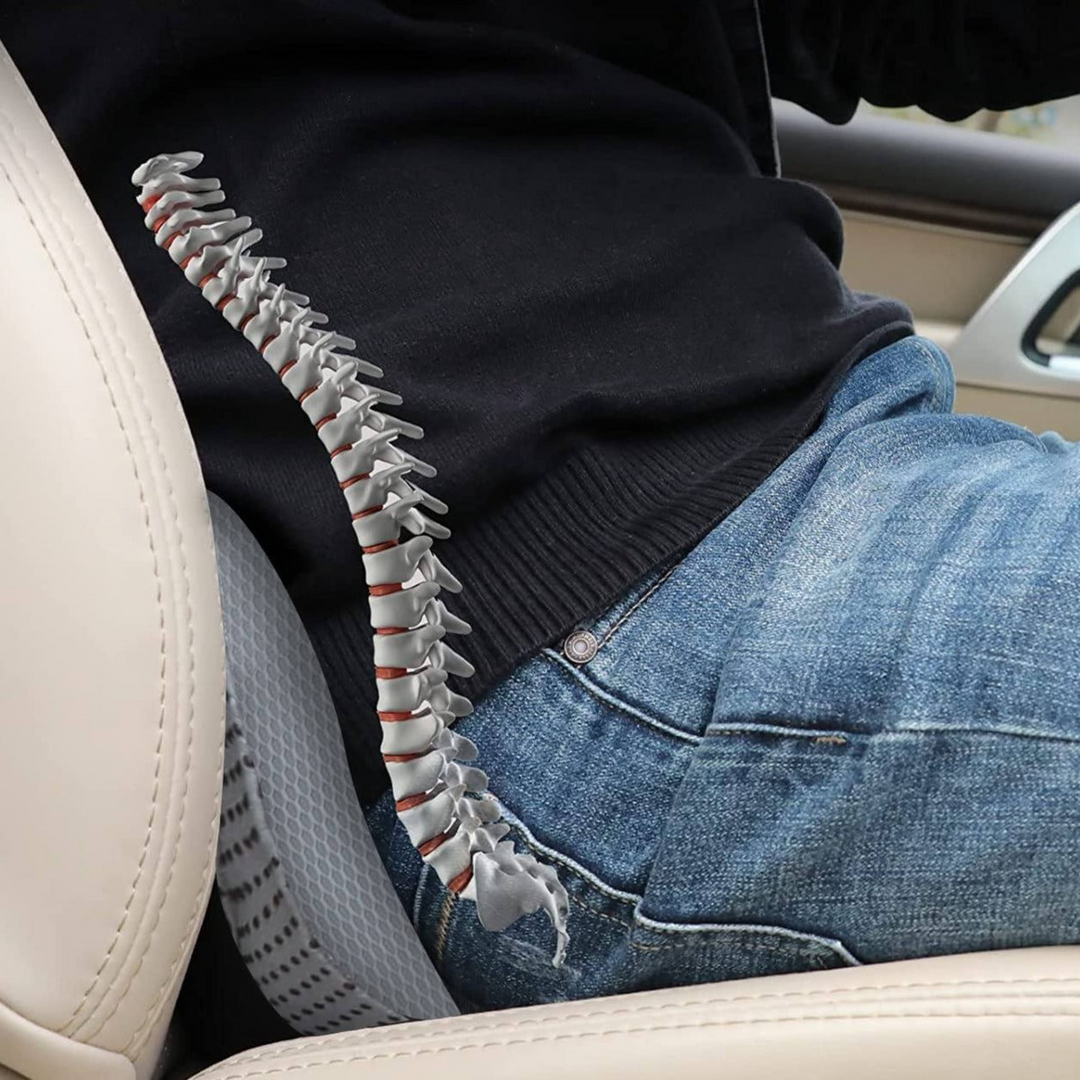 Elevra™ - Raises Seat for Clearer Road View