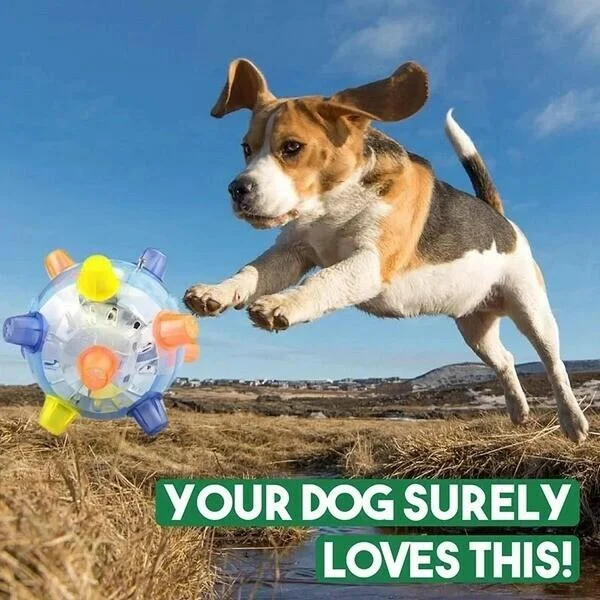 Klyro™ - Motion-Activated LED Play for Dogs