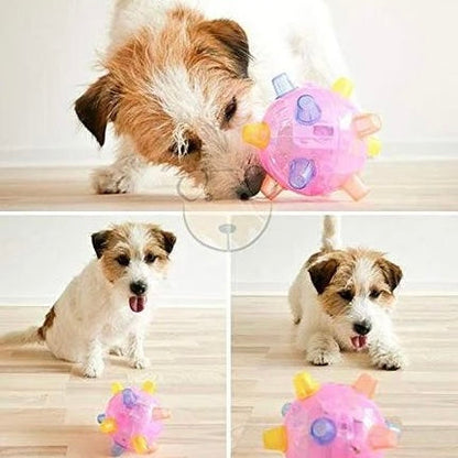Klyro™ - Motion-Activated LED Play for Dogs