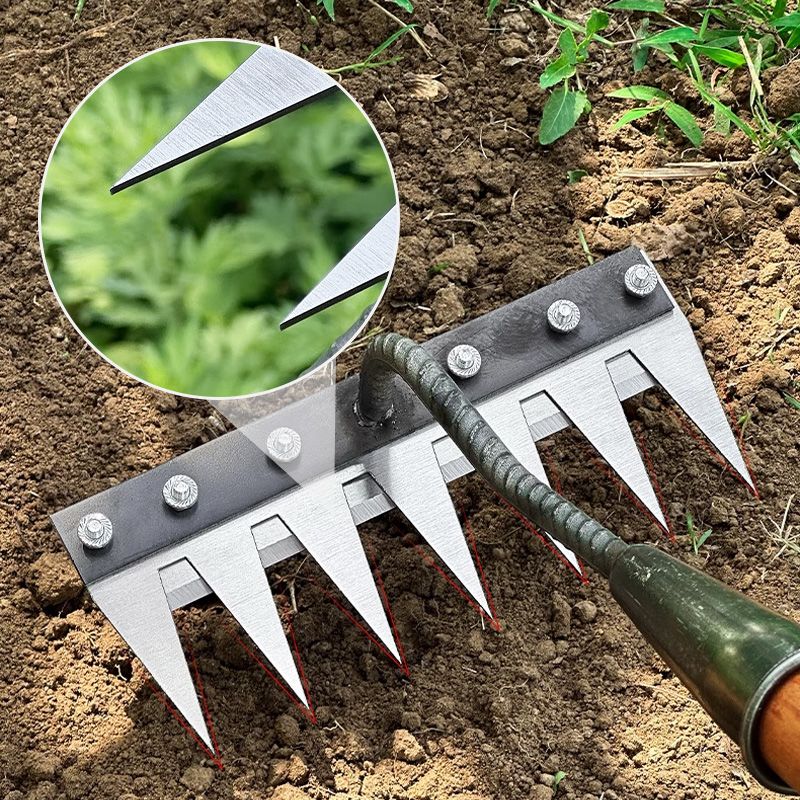 Thryve™ - Precision Dethatching Head for Versatile Garden Use