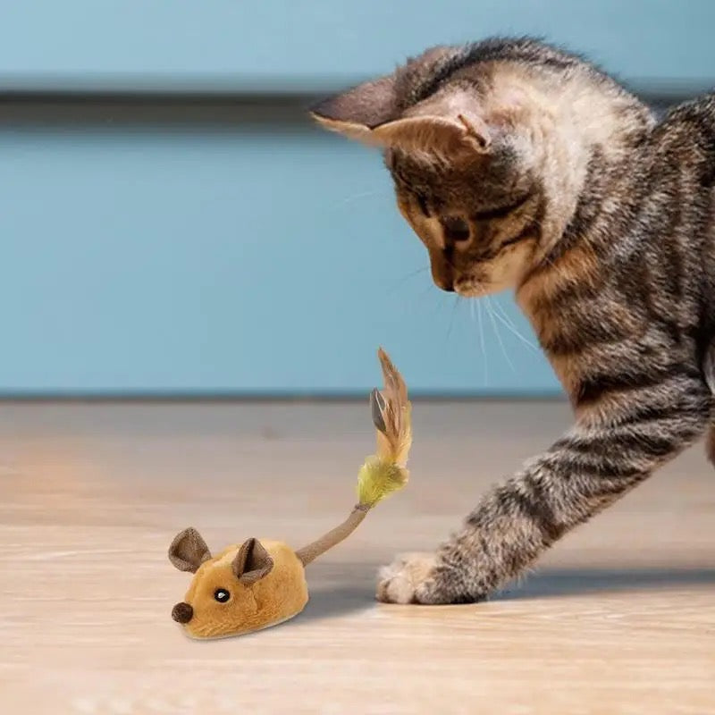 Skitter™ - Encourages Healthy Play with Realistic Movement