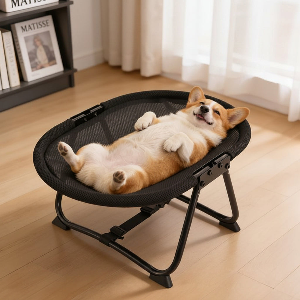 Aeron™ - Elevated Comfort for Cats and Small Dogs