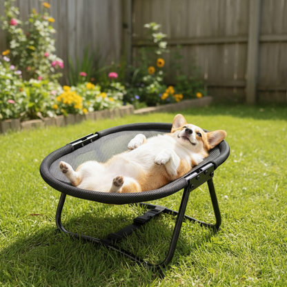 Aeron™ - Elevated Comfort for Cats and Small Dogs