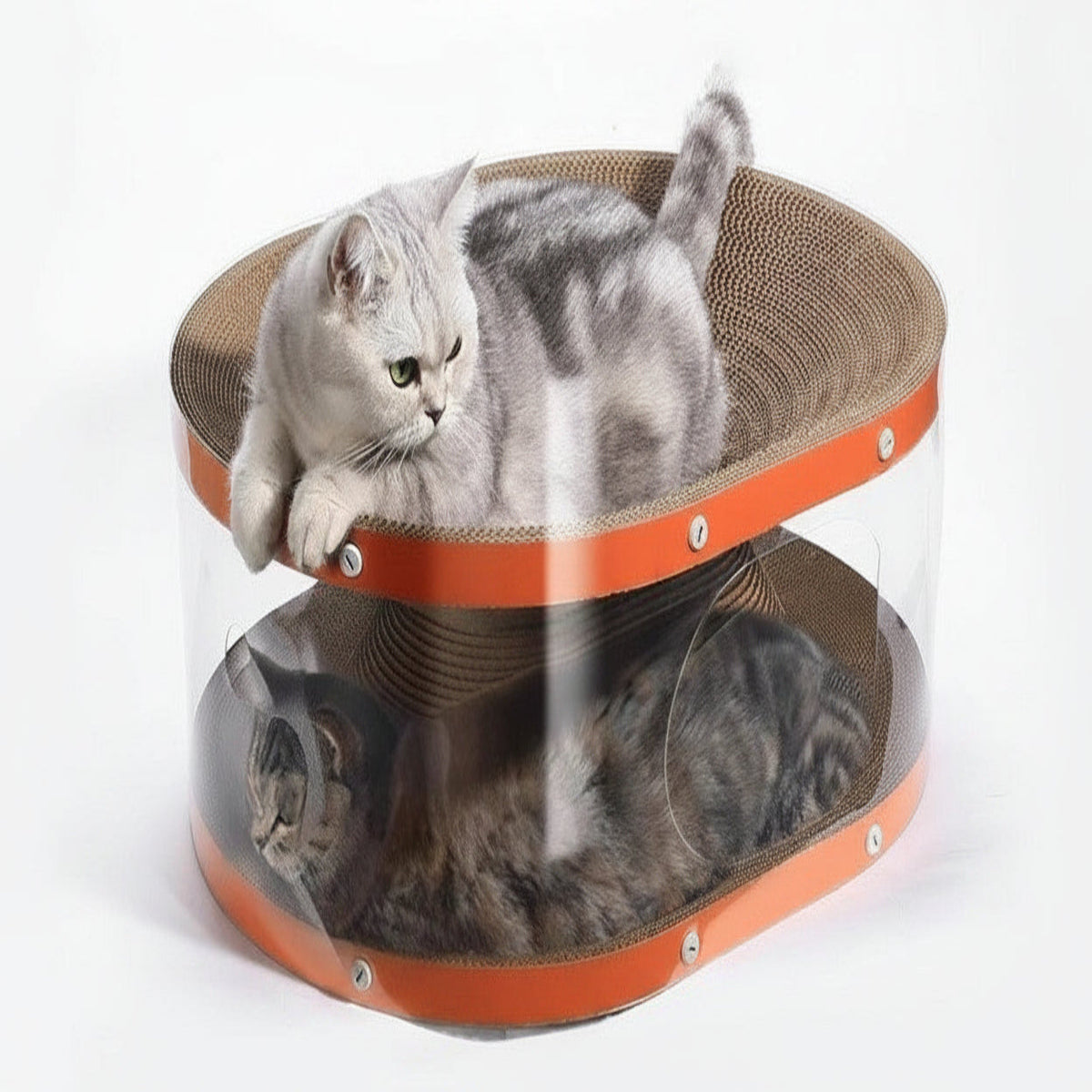 Nestra™ - Two-Level Corrugated Scratch & Cozy Nest