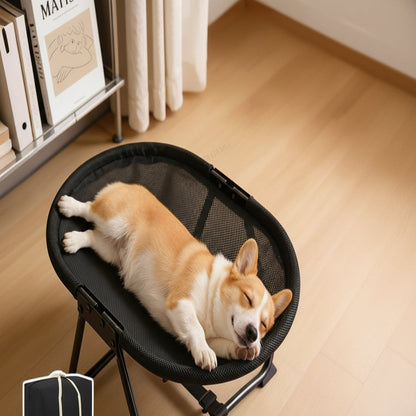 Aeron™ - Elevated Comfort for Cats and Small Dogs