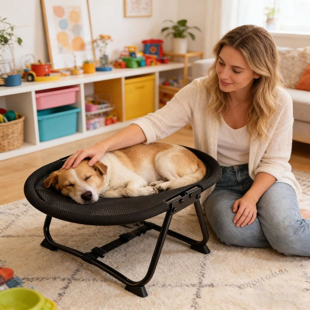 Aeron™ - Elevated Comfort for Cats and Small Dogs