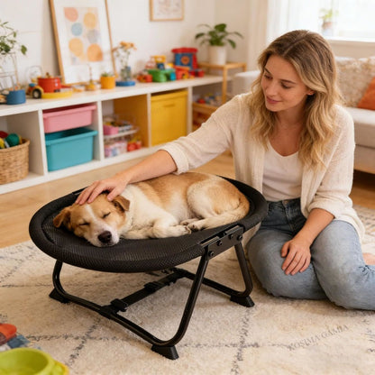 Aeron™ - Elevated Comfort for Cats and Small Dogs