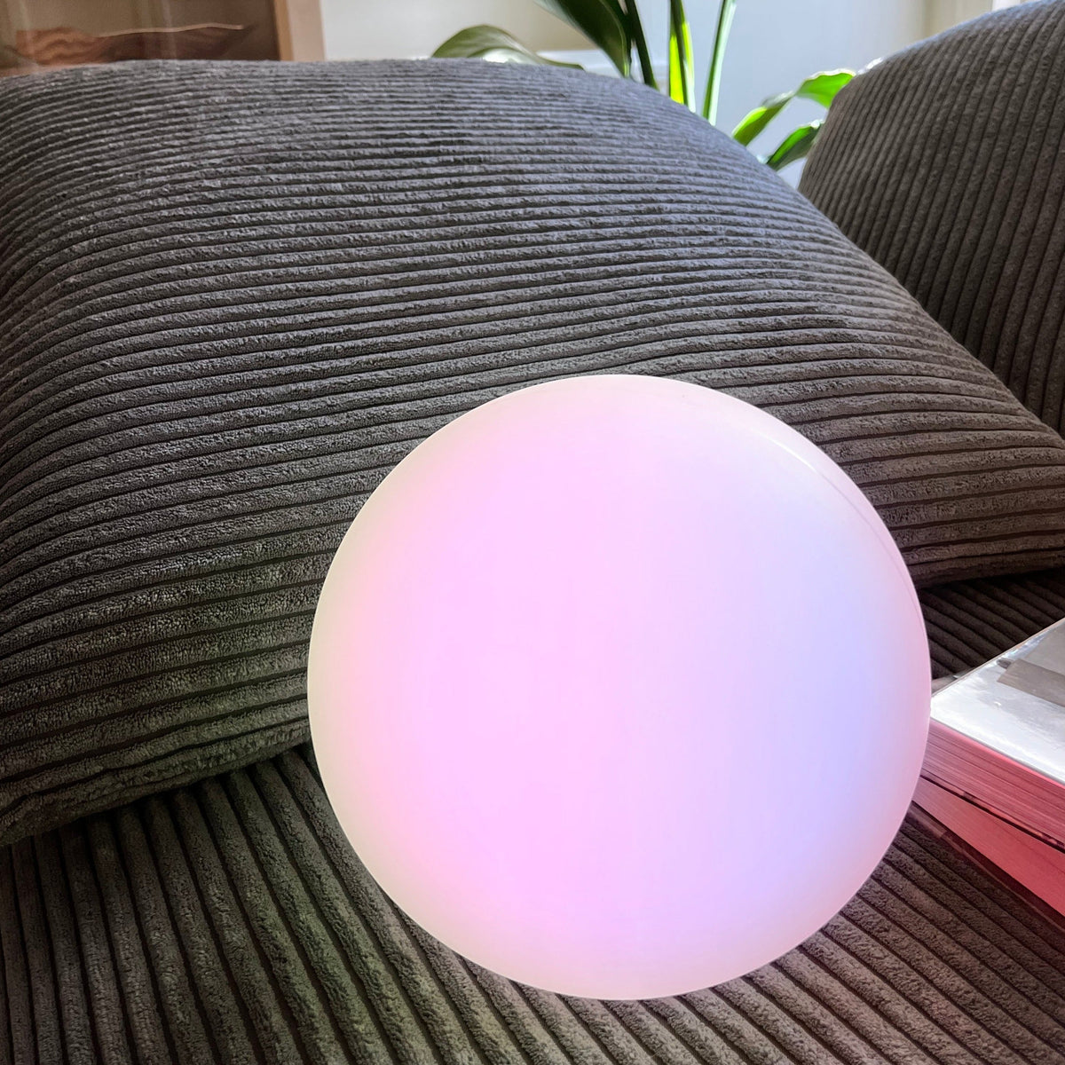 Lunova™ - Cordless Ambient Lighting for Indoor and Outdoor