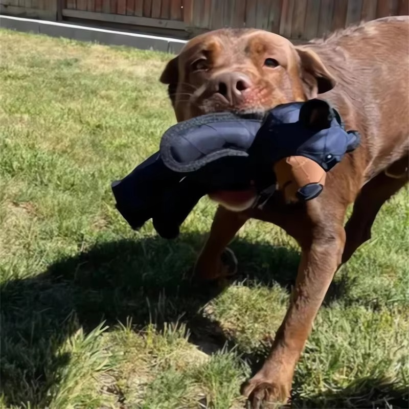 Bello™ - Soft Indoor Plush Toy for Light Chewing