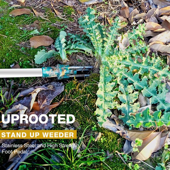 Rootix™ - Remove Weeds From Standing Height Easily