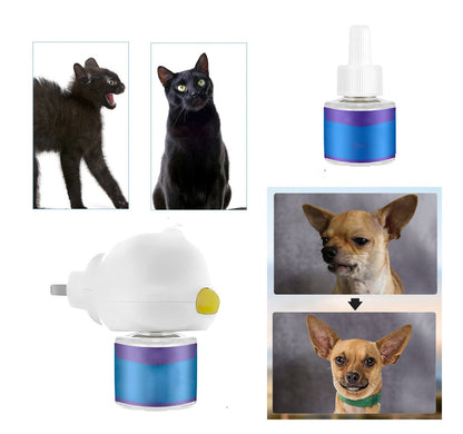 Calmora™ - Subtle Scent Signals For Calmer Home