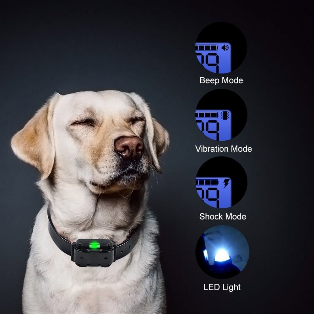 Kynex™ - Clear Remote Control for Off‑Leash Recall