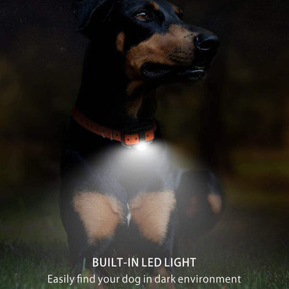 Kynex™ - Clear Remote Control for Off‑Leash Recall