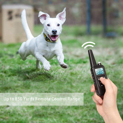 Kynex™ - Clear Remote Control for Off‑Leash Recall