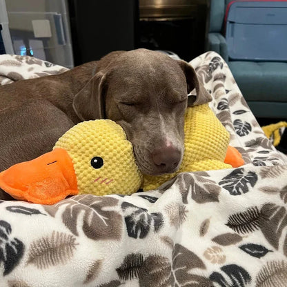 Duxen™ - Soothing Squeak for Calm, Playful Moments