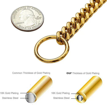 Ferrox™ - Solid Chain Hold For Confident Walks