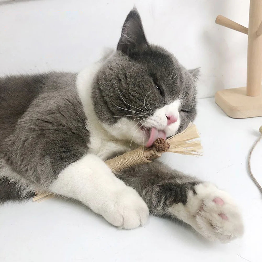 Silvra™ - Gentle Natural Chews For Cleaner Cat Teeth
