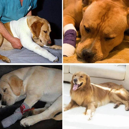 Pawlen™ - Gentle Ankle Support For Recovering Dogs