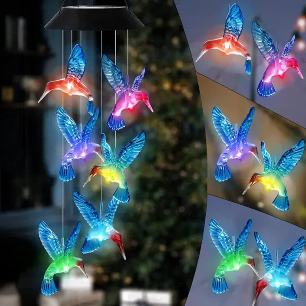 Aureli™ - Gentle Colorful Glow For Evening Gardens