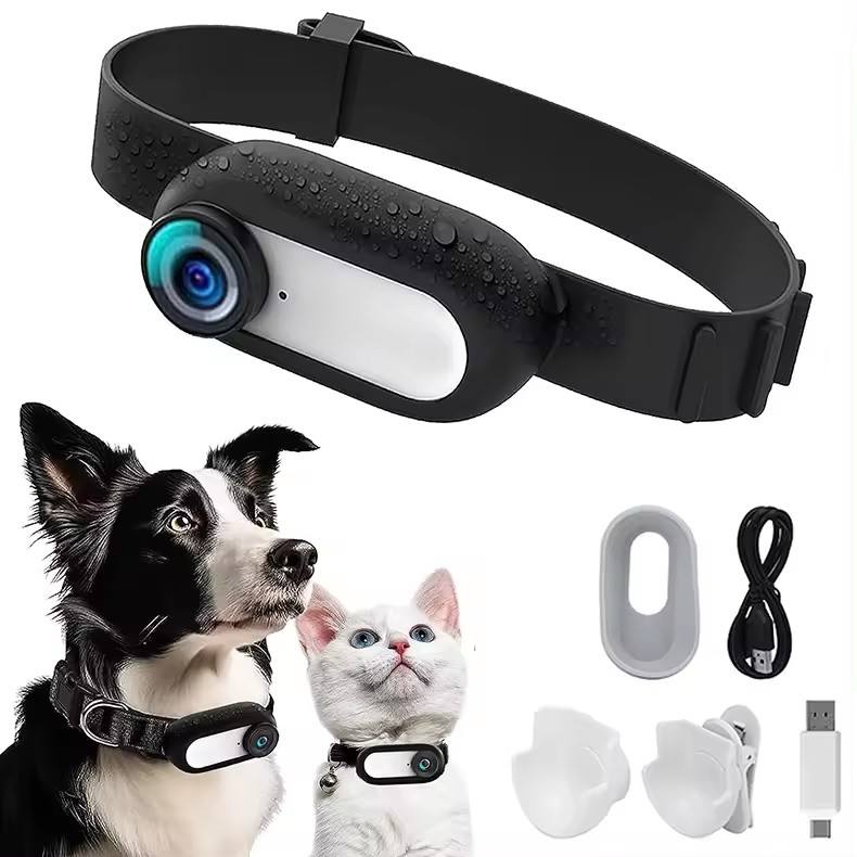 Vistal™ - See Their World in Real Time