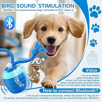 Viggo™ - Keeps Active Dogs Engaged and Moving Naturally