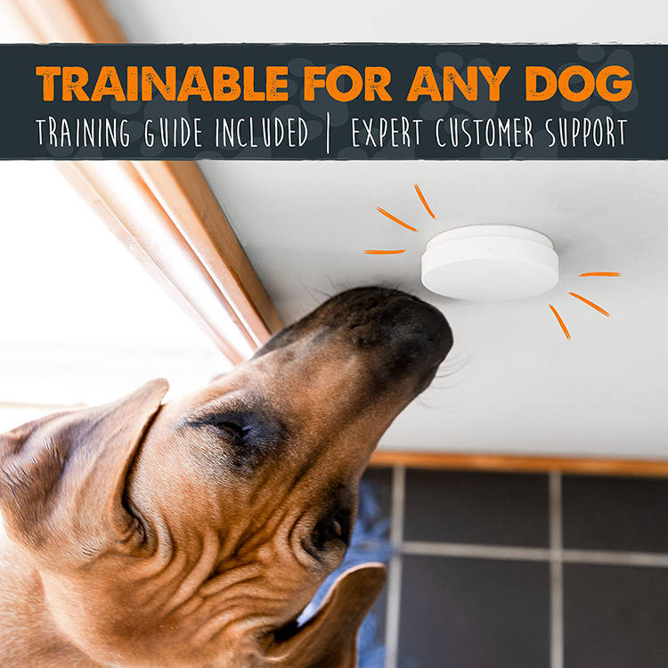 Bellio™ - Teach Your Dog to Signal for Potty