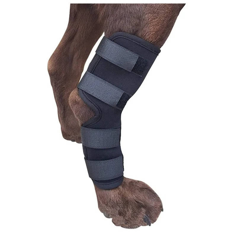 Pawlen™ - Gentle Ankle Support For Recovering Dogs