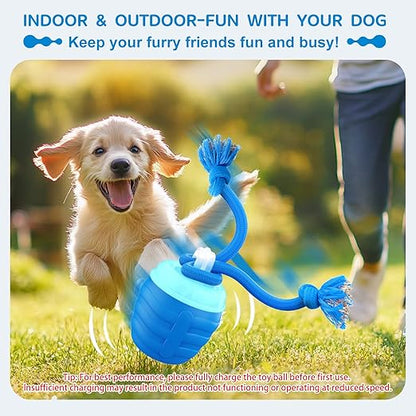 Viggo™ - Keeps Active Dogs Engaged and Moving Naturally