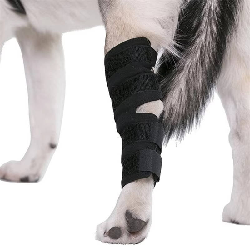 Pawlen™ - Gentle Ankle Support For Recovering Dogs