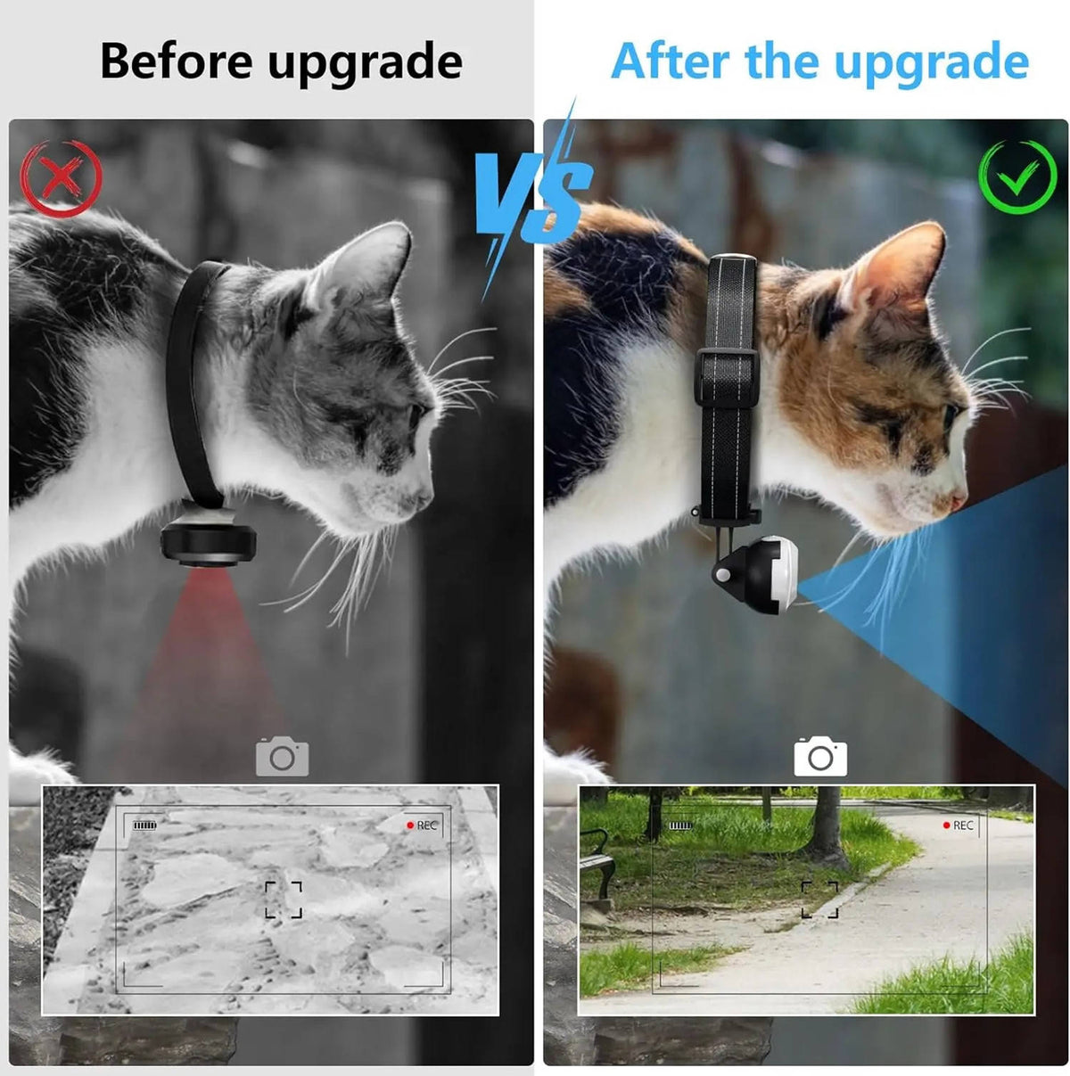 Vistal™ - See Their World in Real Time