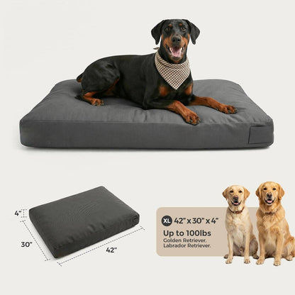 Kavro™ - Tough Comfort for Active Chewers