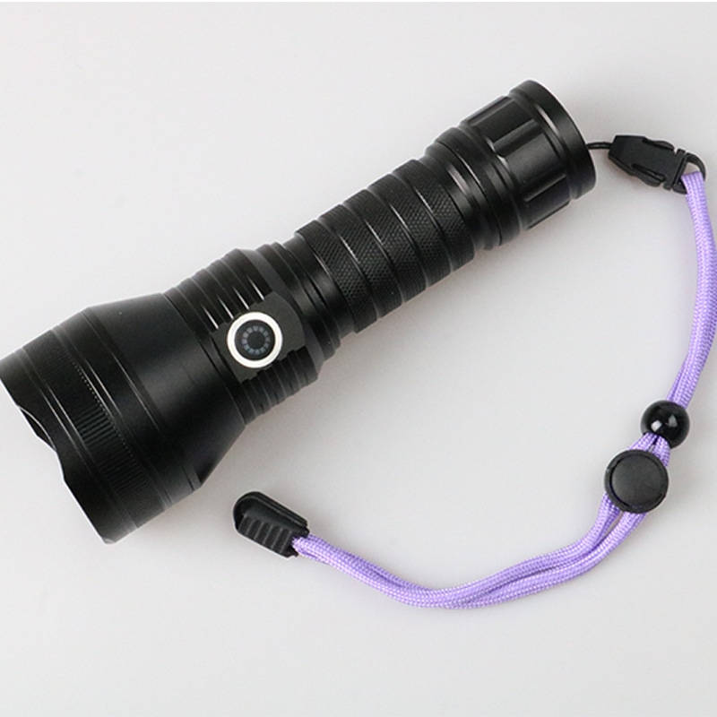 Lumenix™ - Portable UV Scanner for Hidden Pet Stains