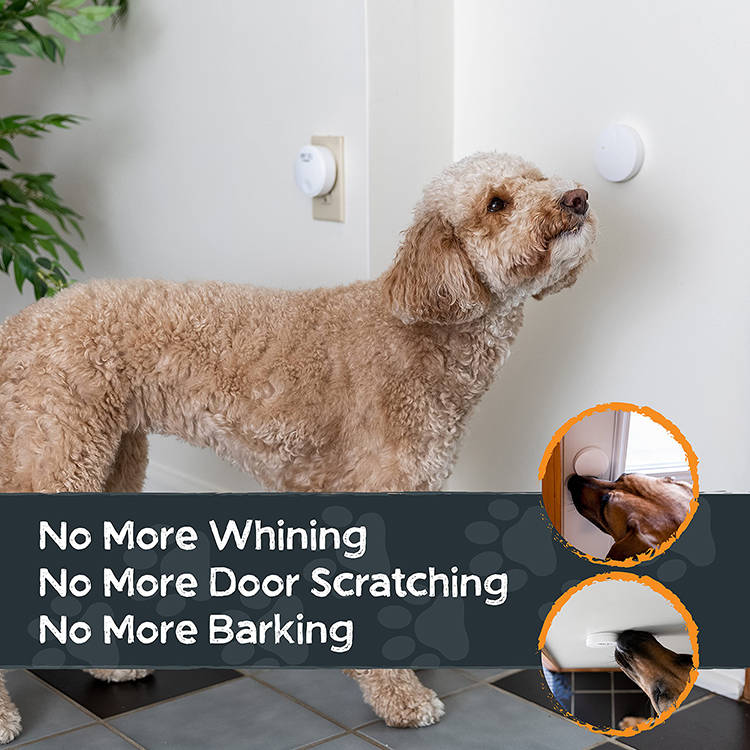 Bellio™ - Teach Your Dog to Signal for Potty