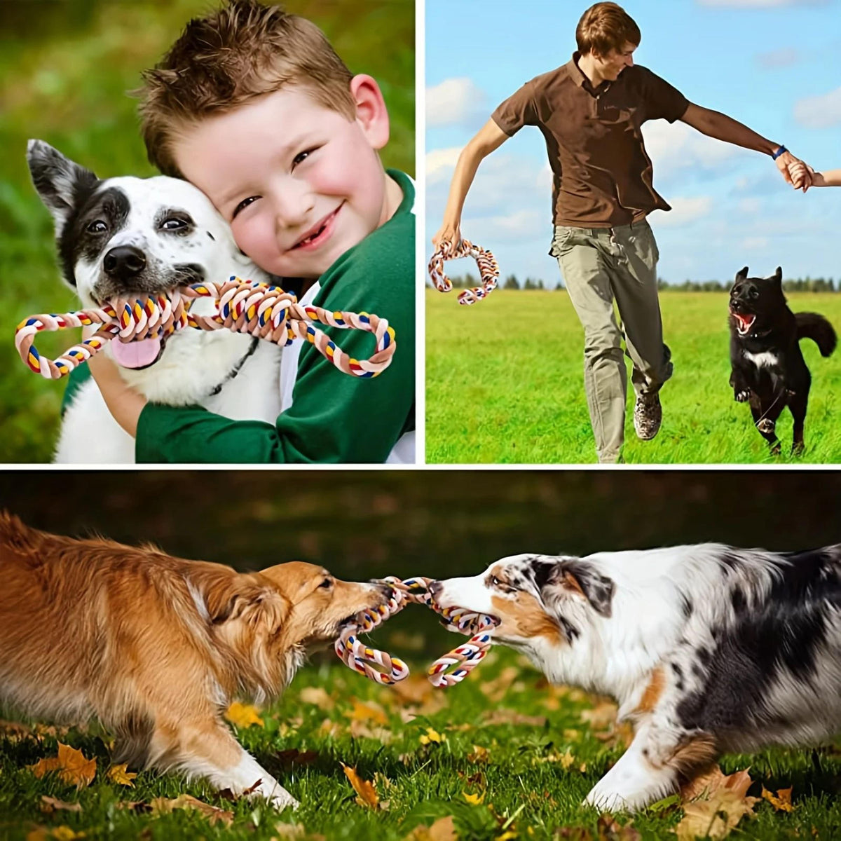 Cordex™ - Durable Tug & Chew Toy for Medium and Large Dogs
