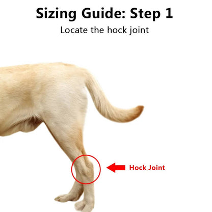 Pawlen™ - Gentle Ankle Support For Recovering Dogs