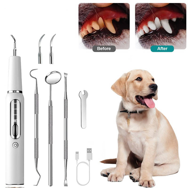 Dentiva™ - Gentle Ultrasonic Cleaning For Calm At-Home Care