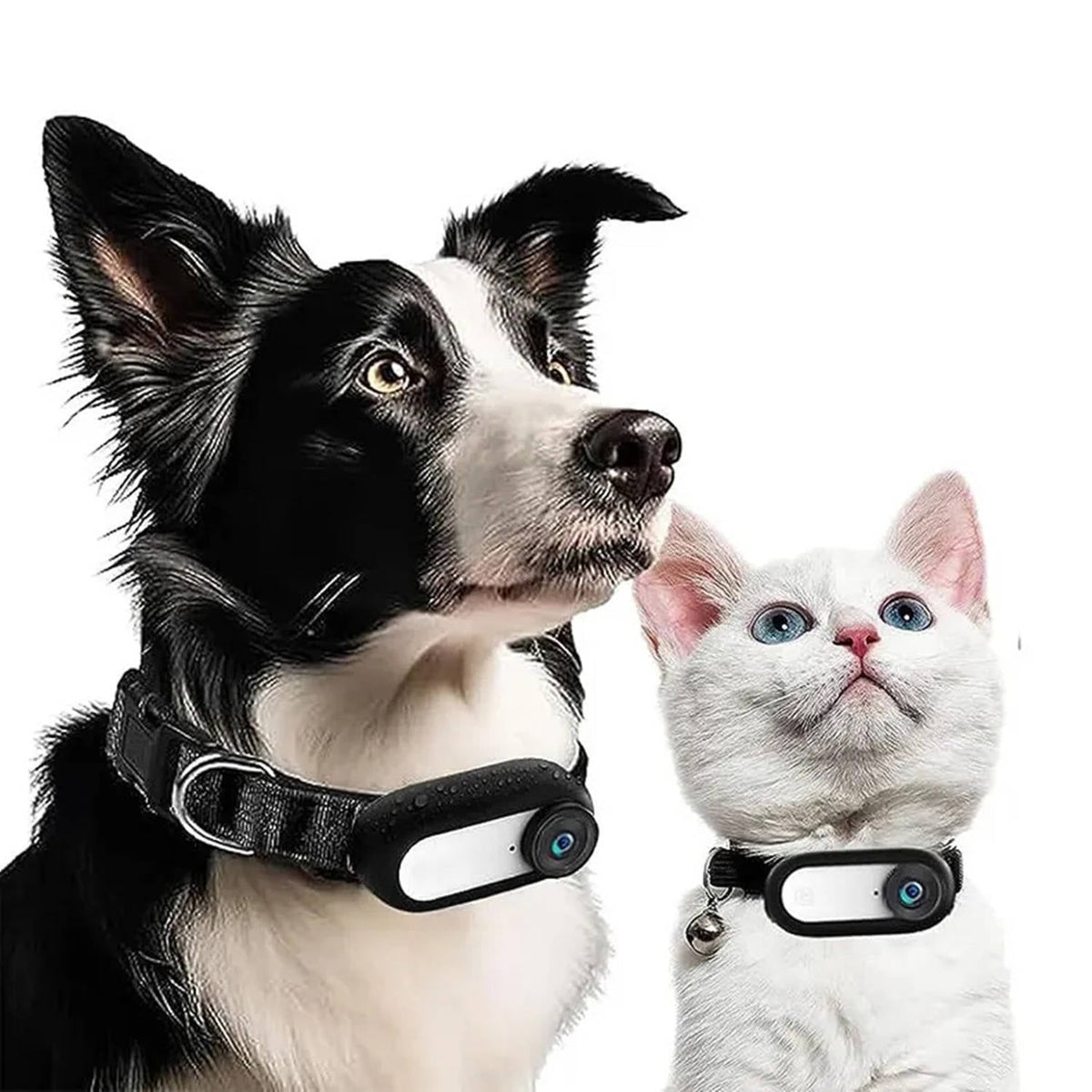 Vistal™ - See Their World in Real Time