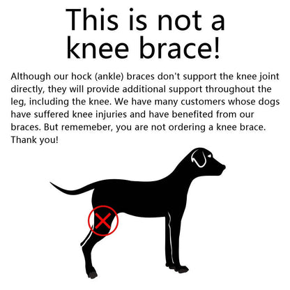 Pawlen™ - Gentle Ankle Support For Recovering Dogs