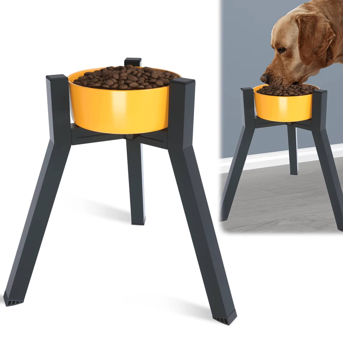 Rialto™ - Raised Feed Stand for Comfortable Mealtimes