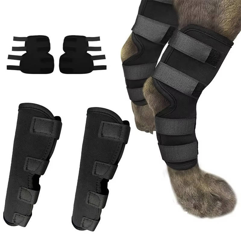 Pawlen™ - Gentle Ankle Support For Recovering Dogs