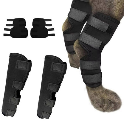 Pawlen™ - Gentle Ankle Support For Recovering Dogs