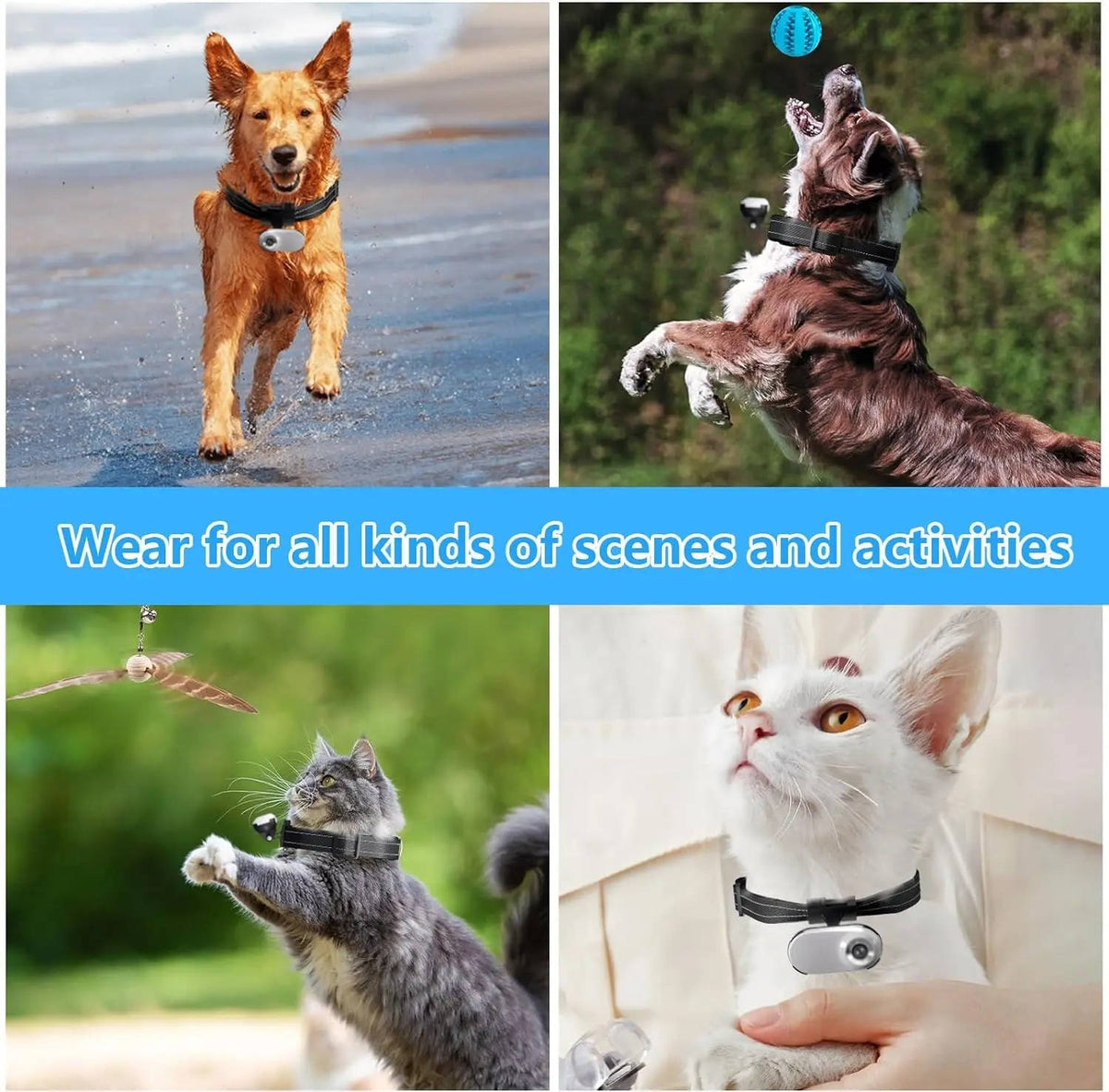 Vistal™ - See Their World in Real Time