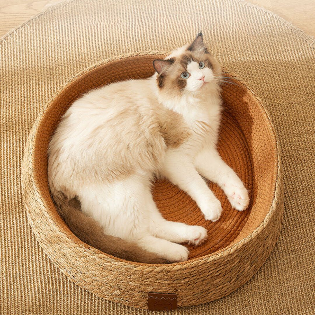 Nestra™ - Hand-Woven Rattan Nest For Cat Comfort