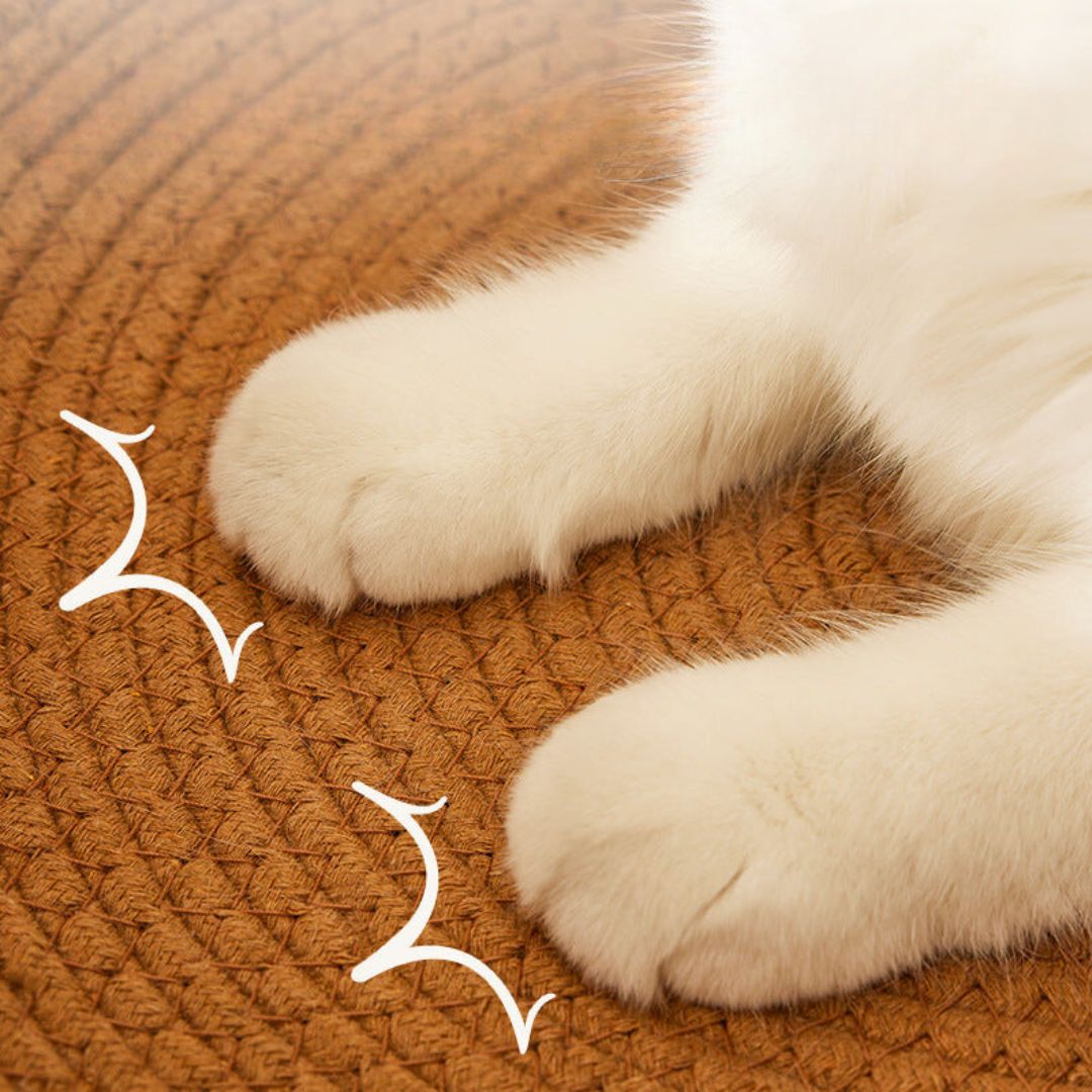 Nestra™ - Hand-Woven Rattan Nest For Cat Comfort