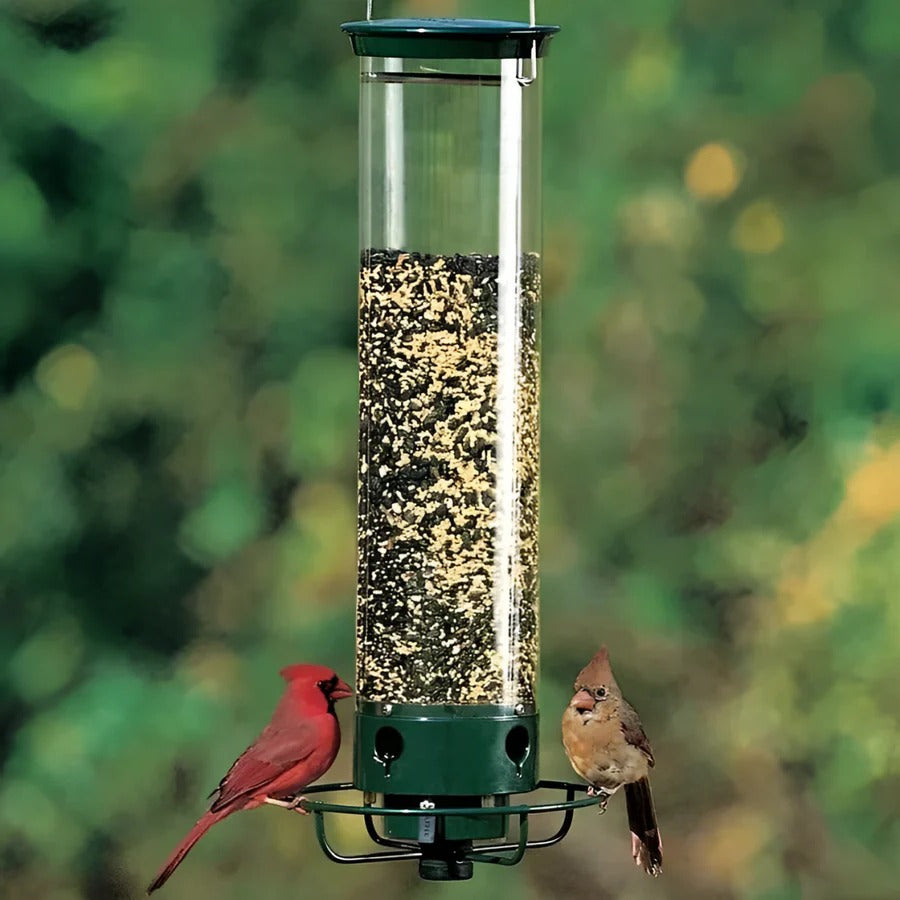 Aviané™ - Squirrel-Blocking Spinning Perch For Small Songbirds