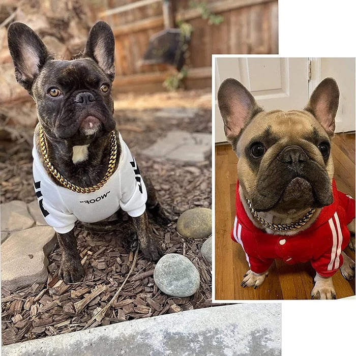 Kovair™ - Slip-On Solid Chain Collar For Strong Dogs