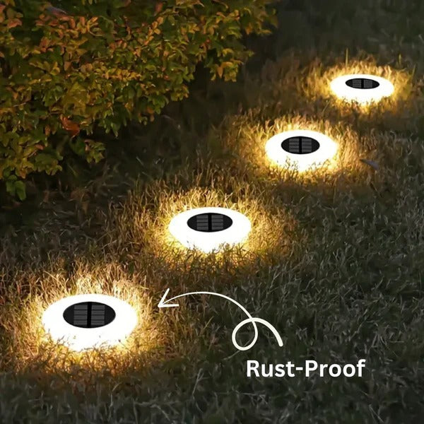 Trailux™ - Automatic Dusk-to-Dawn Pathway Lighting